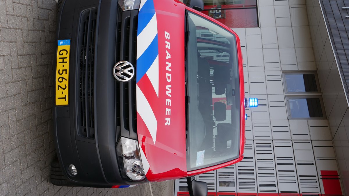 DB