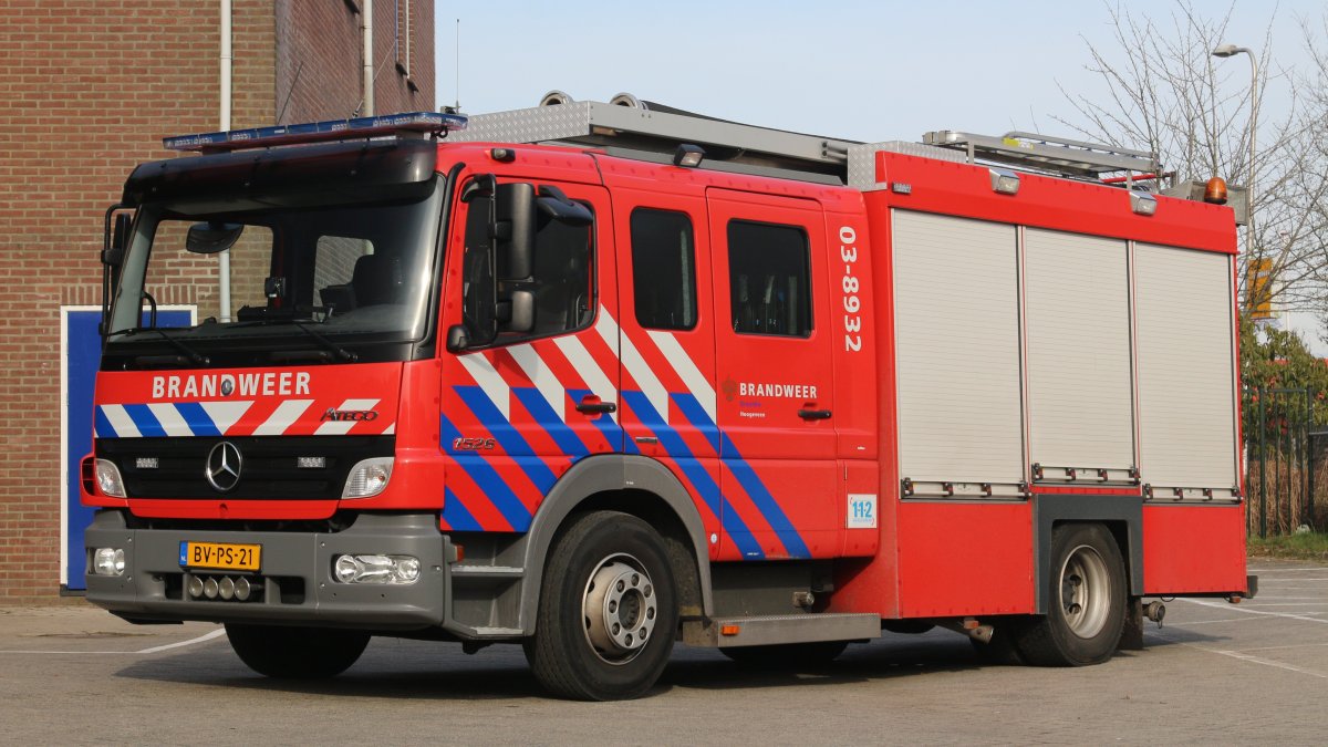TS-8