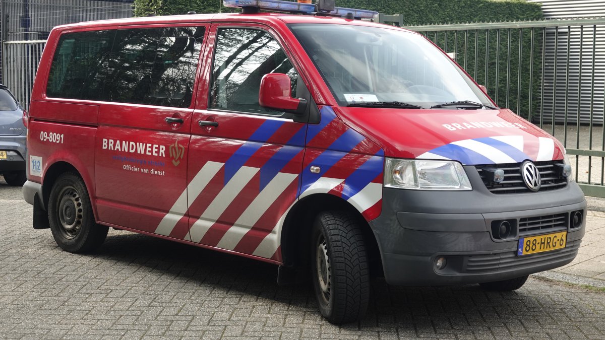 DV-OVD