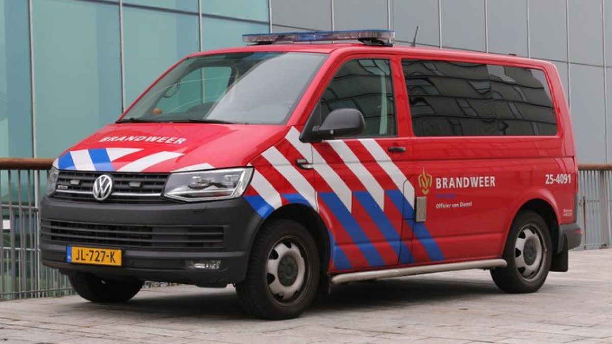 DB-OVD