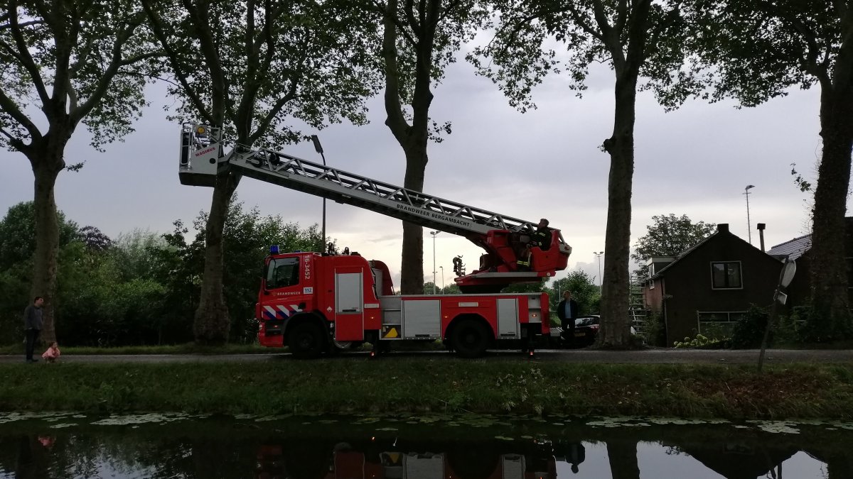 AL