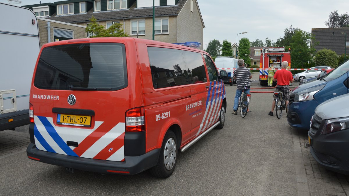 DV-OVD
