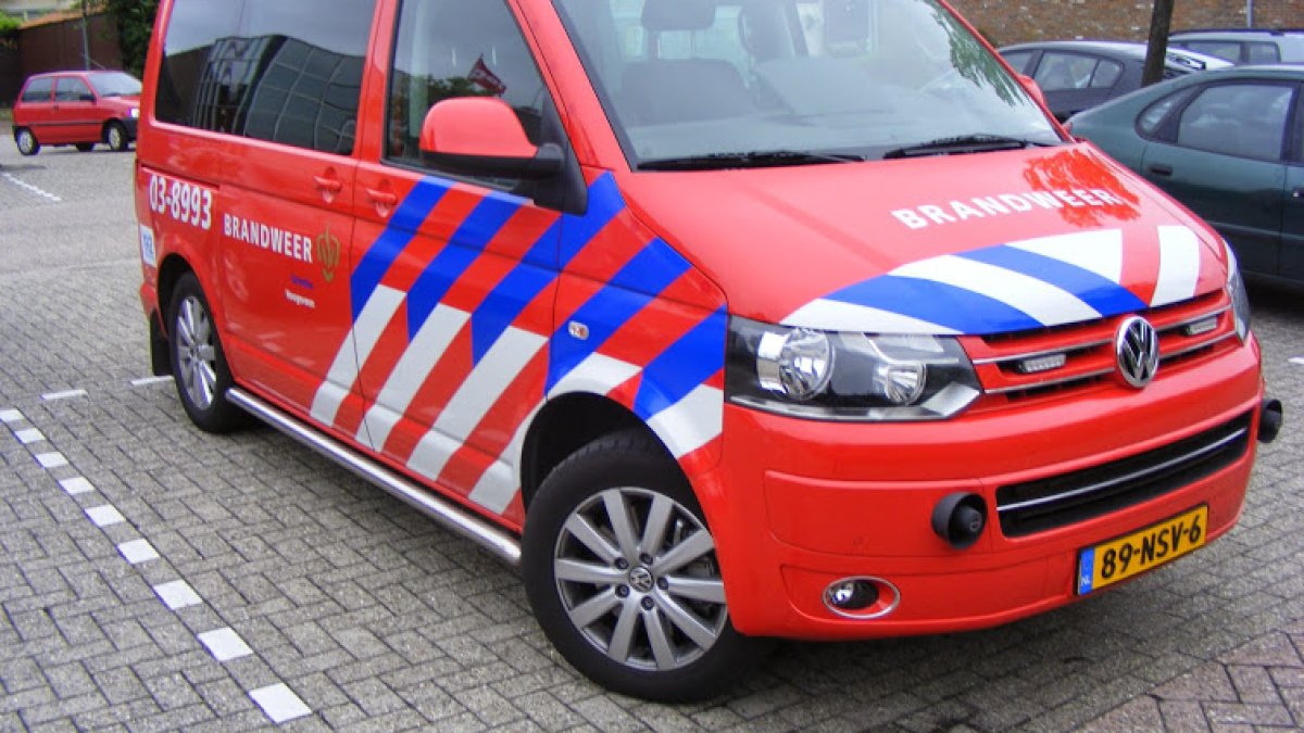 DB-OVD