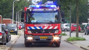 11-3031