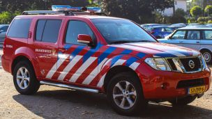 09-8994