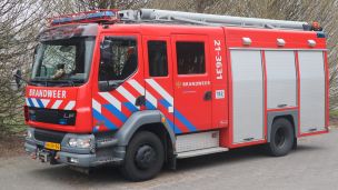 21-3631