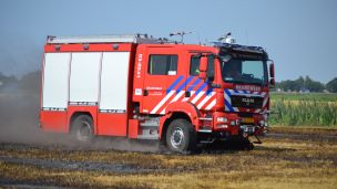 03-8541