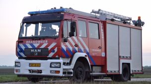 03-8333
