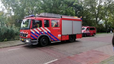 16-9233