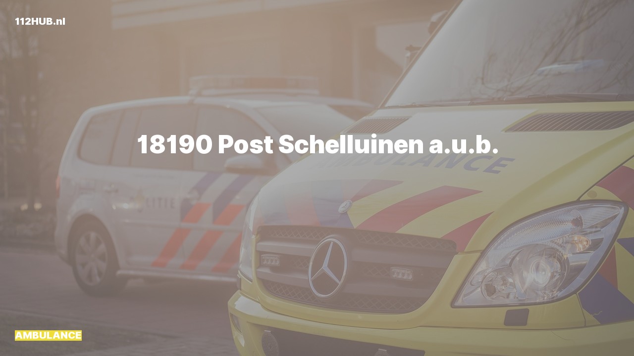 Deelafbeelding voor Ambulance.