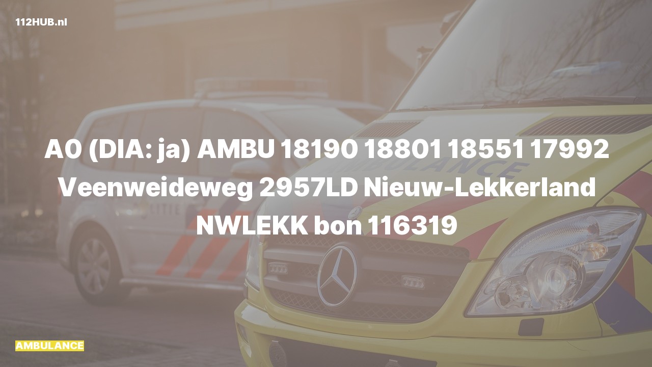 Deelafbeelding voor Ambulance met spoed naar de Veenweideweg in Nieuw-Lekkerland.