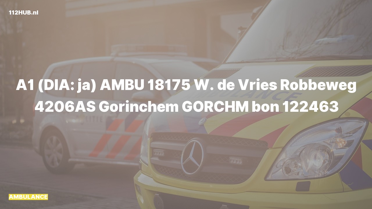 Deelafbeelding voor Ambulance met spoed naar de W. de Vries Robbéweg in Gorinchem.