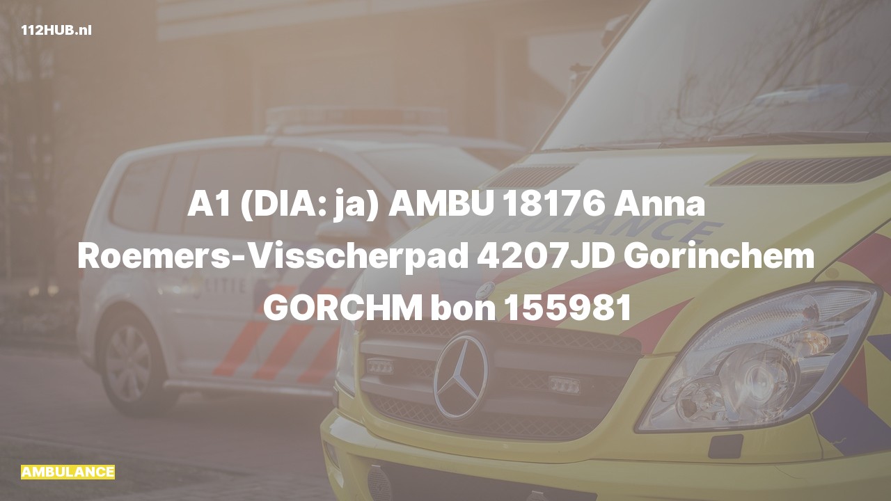Deelafbeelding voor De ambulance is met spoed uitgerukt naar de Anna Roemers-Visscherpad in Gorinchem