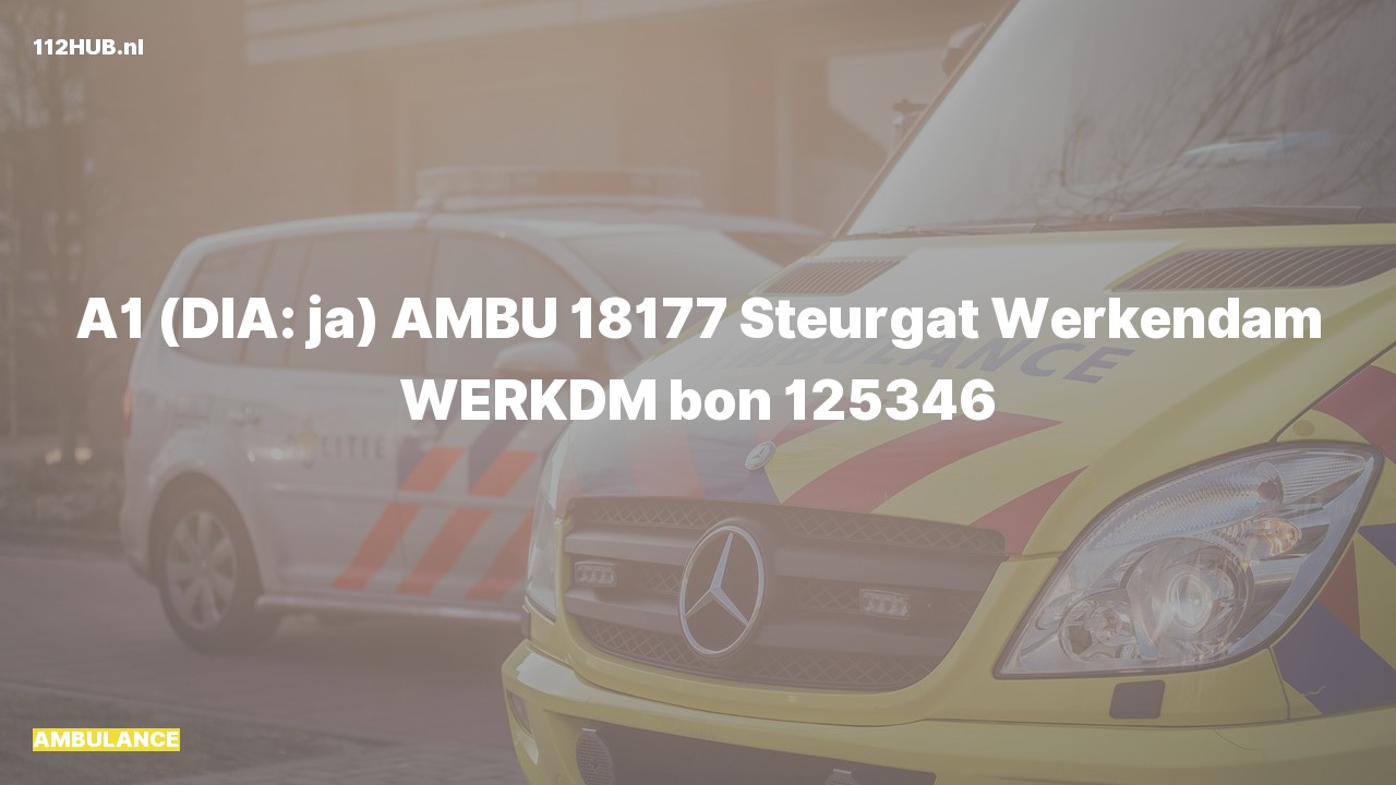 Deelafbeelding voor Ambulance met spoed naar de Steurgat in Werkendam.