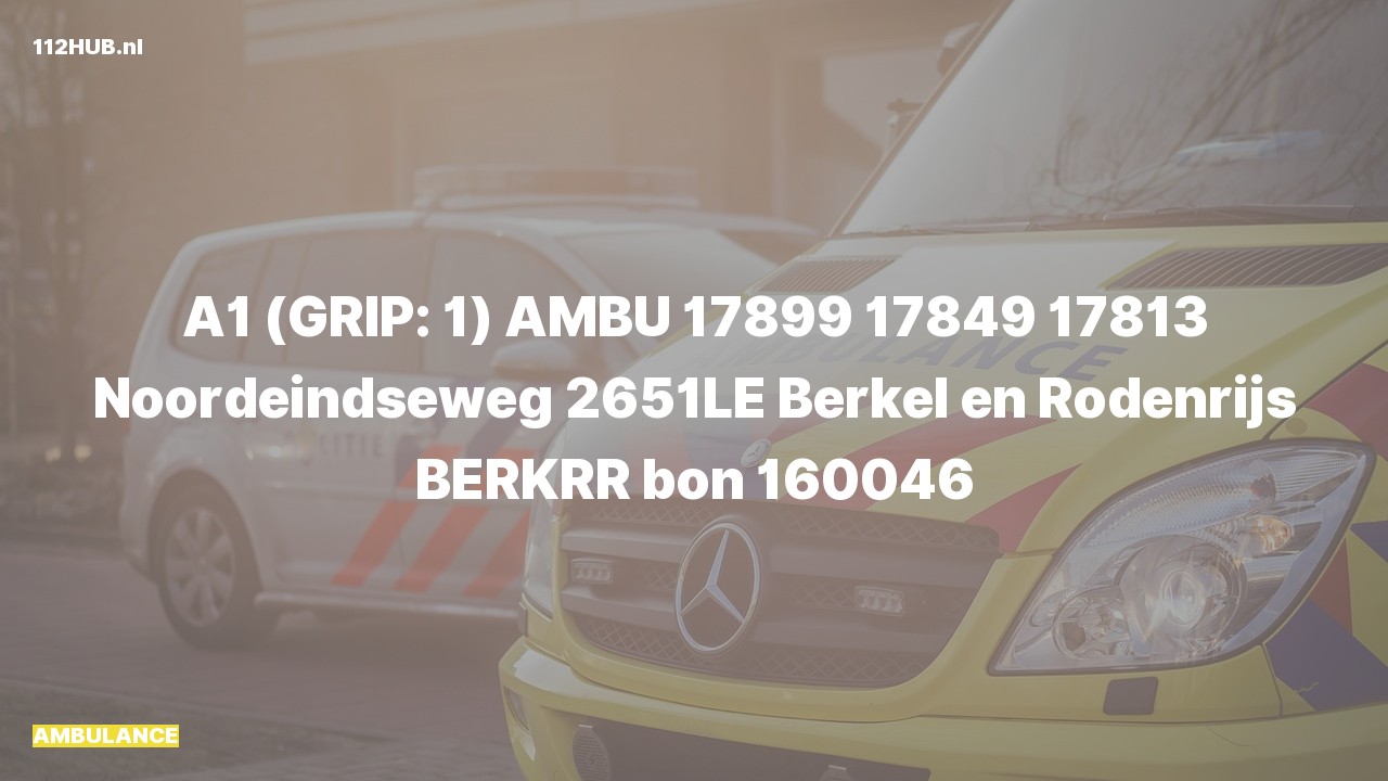 Deelafbeelding voor De ambulance is met spoed uitgerukt naar de Noordeindseweg in Berkel en Rodenrijs