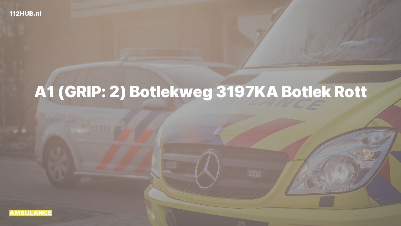 Deelafbeelding voor Ambulance met spoed naar de Botlekweg in Botlek Rotterdam.