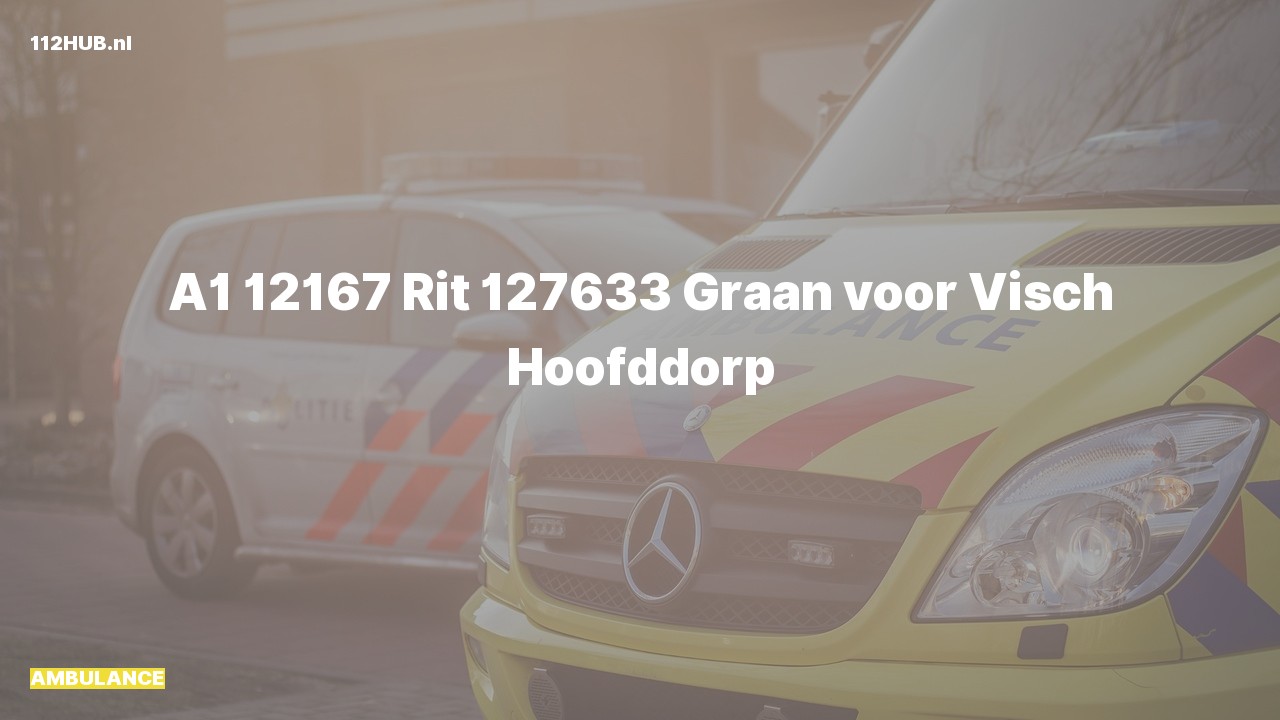 Deelafbeelding voor Ambulance met spoed naar de Graan voor Visch in Hoofddorp.