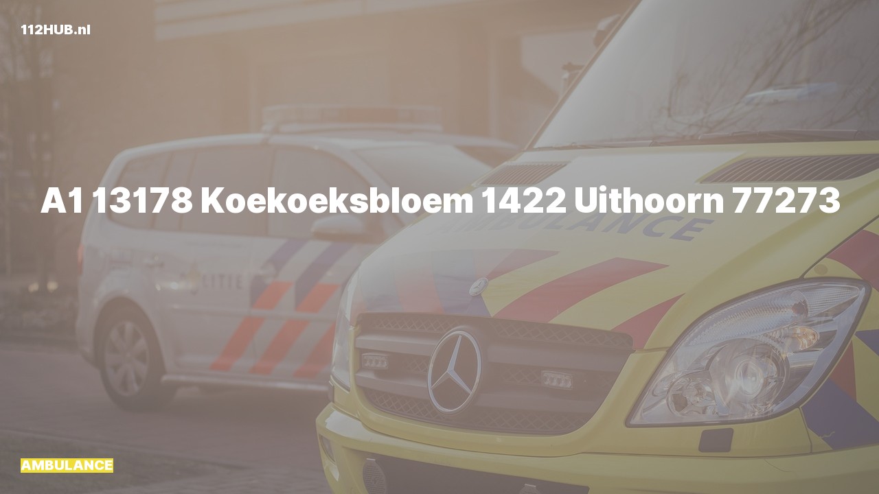 Deelafbeelding voor Ambulance met spoed naar de Koekoeksbloem in Uithoorn.