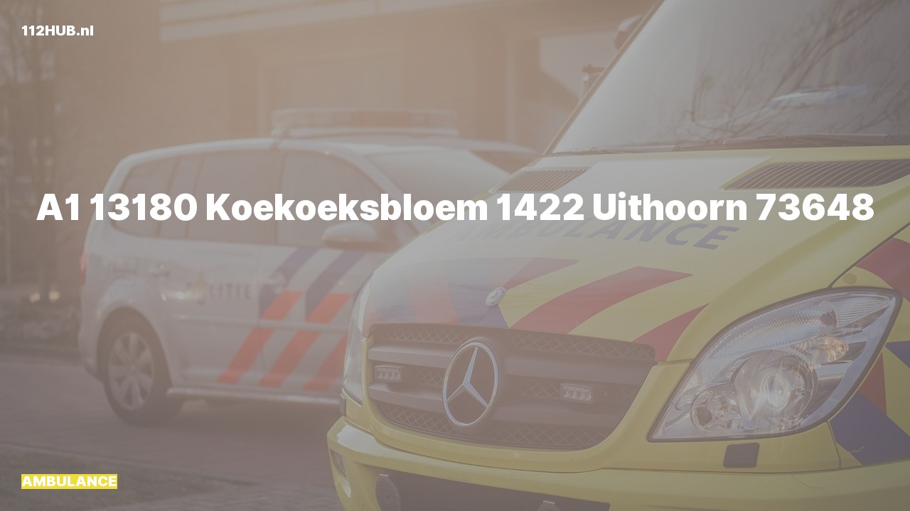 Deelafbeelding voor Ambulance met spoed naar de Koekoeksbloem in Uithoorn.