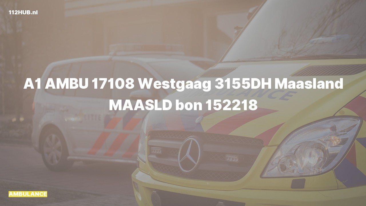 Deelafbeelding voor De ambulance is met spoed uitgerukt naar de Westgaag in Maasland