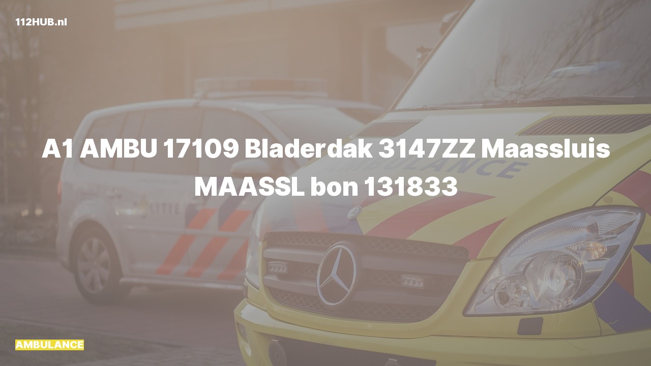 Deelafbeelding voor Ambulance met spoed naar de Bladerdak in Maassluis.