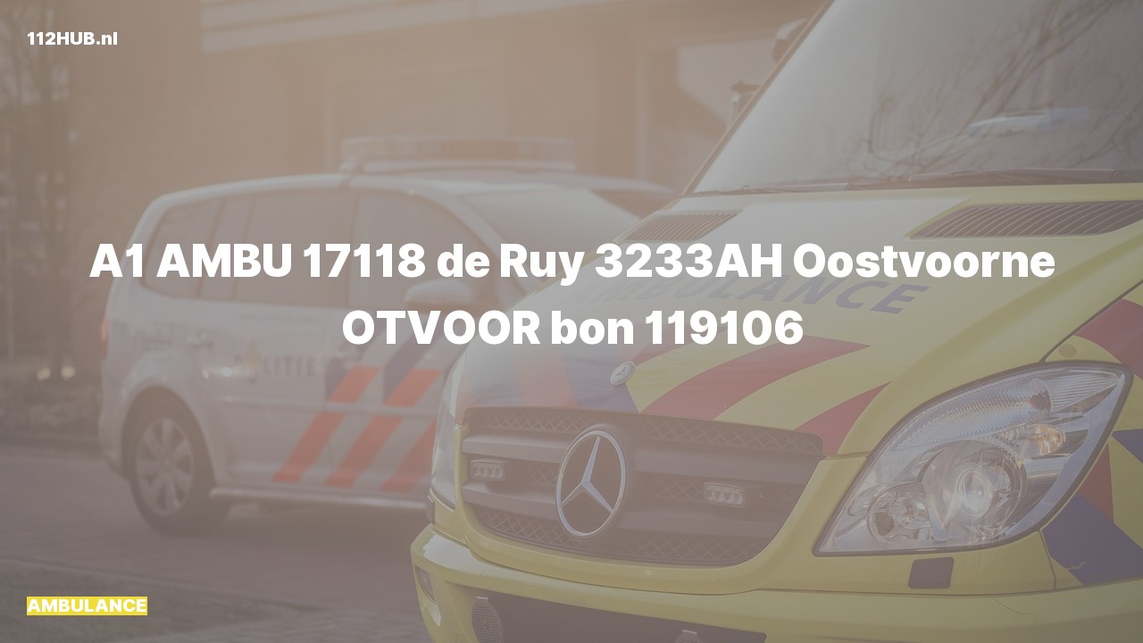 Deelafbeelding voor Ambulance met spoed naar de de Ruy in Oostvoorne.