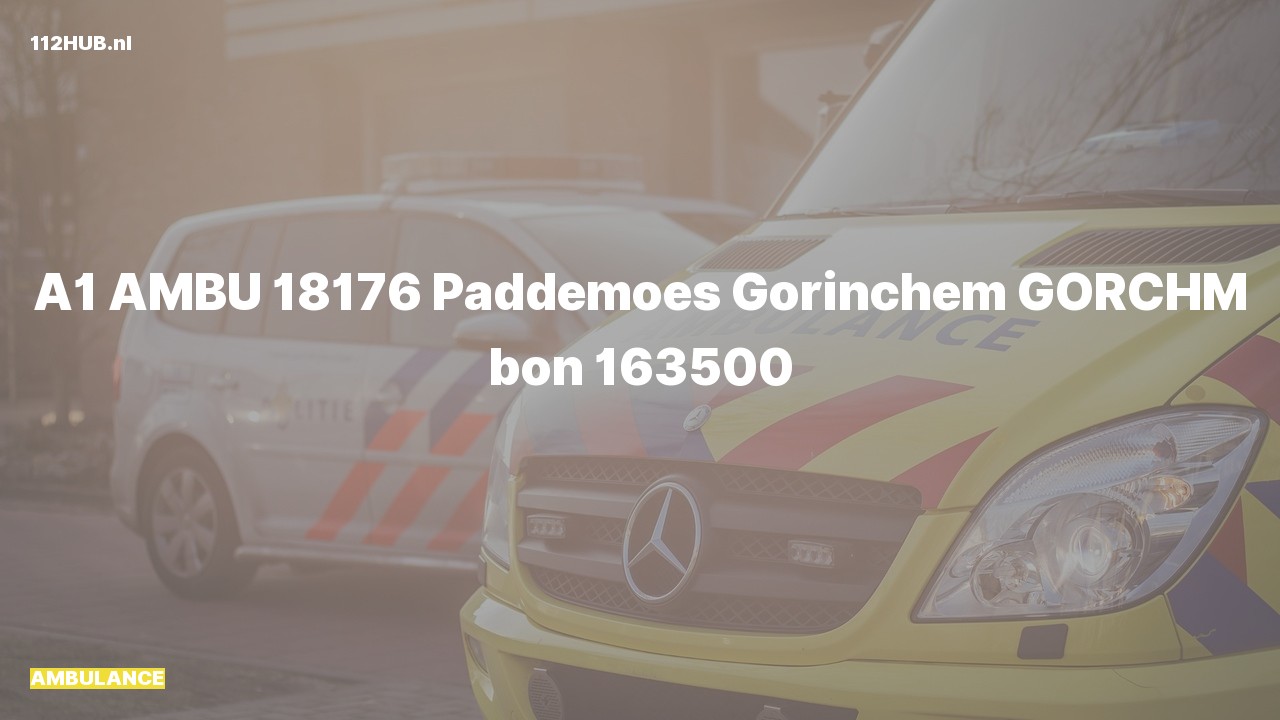 Deelafbeelding voor De ambulance is met spoed uitgerukt naar de Paddemoes in Gorinchem