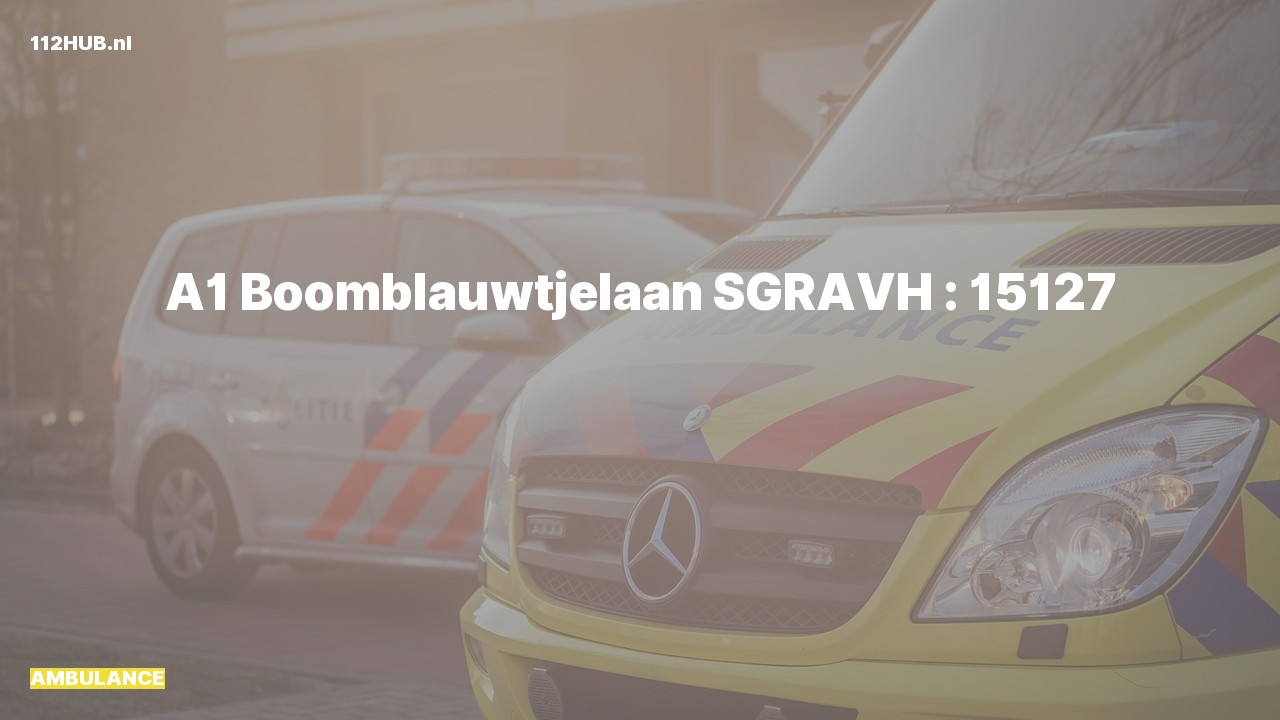 Deelafbeelding voor Ambulance met spoed naar de Boomblauwtjelaan in 's-Gravenhage.