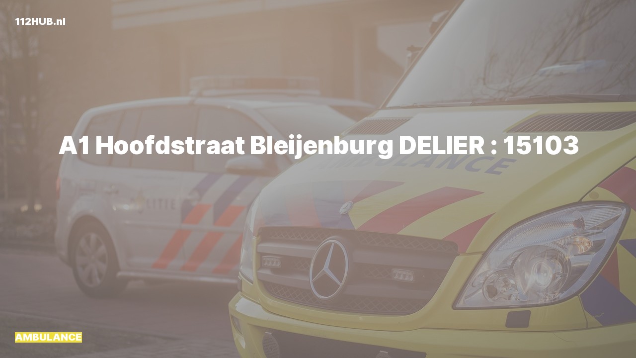 Deelafbeelding voor Ambulance met spoed naar de Hoofdstraat in De Lier.
