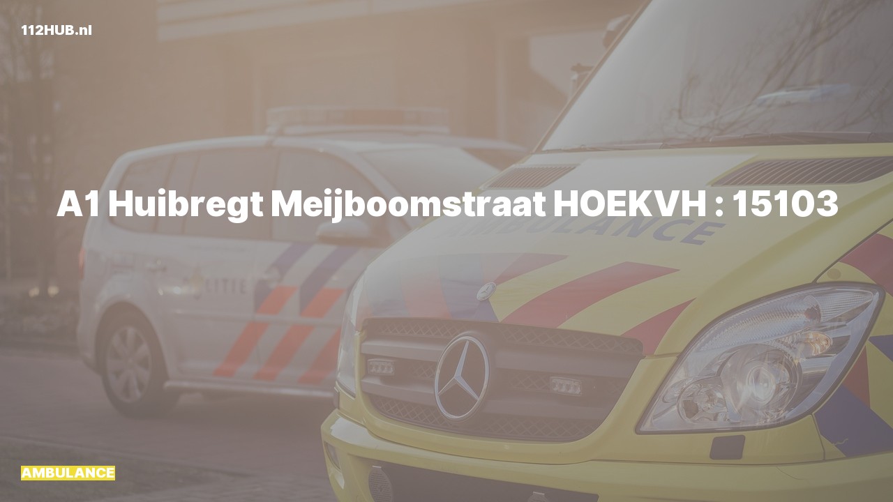 Deelafbeelding voor Ambulance met spoed naar de Huibregt Meijboomstraat in Hoek van Holland.