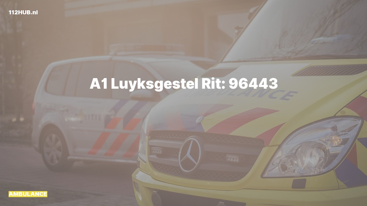Deelafbeelding voor Ambulance met spoed.