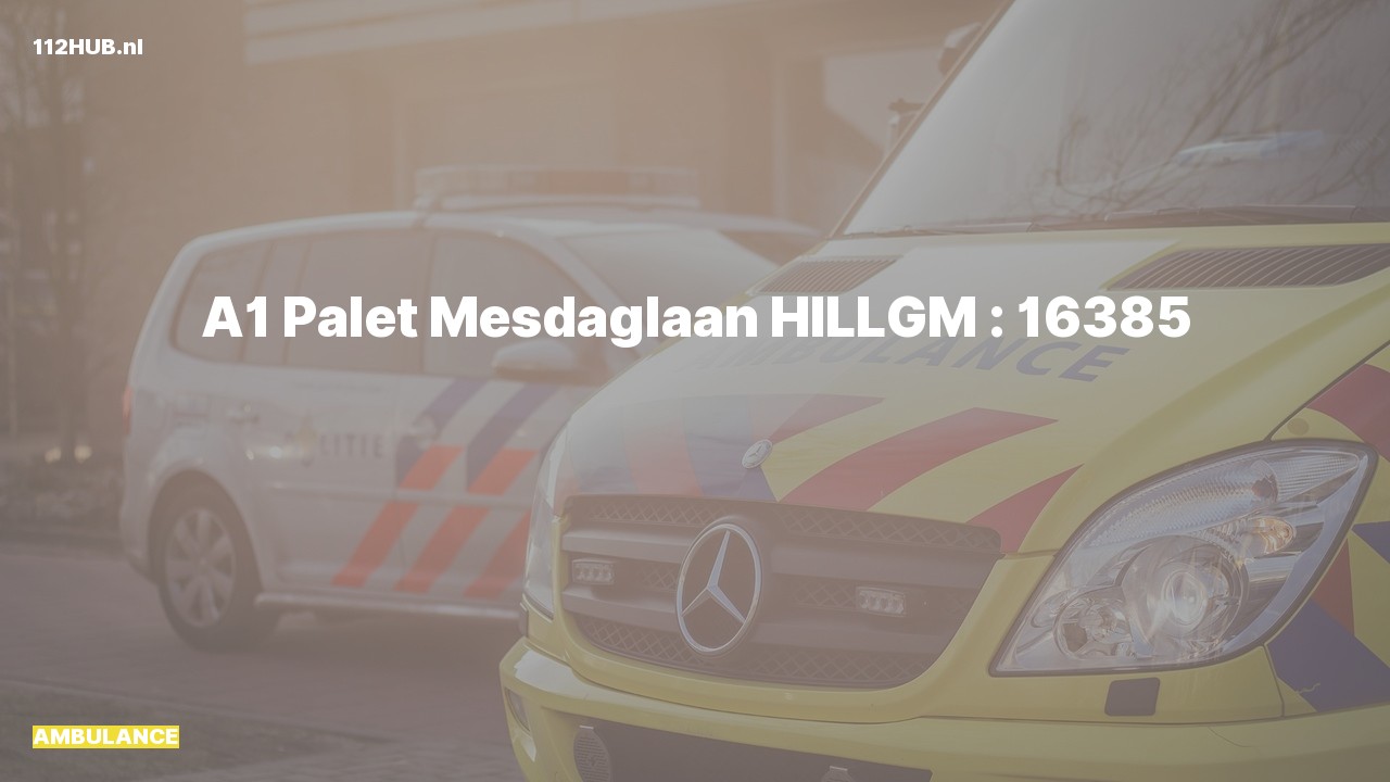 Deelafbeelding voor De ambulance is met spoed uitgerukt naar de Mesdaglaan in Hillegom