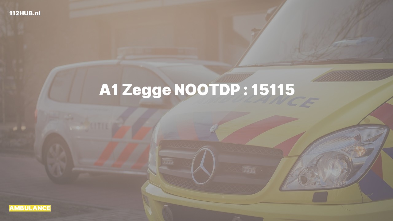 Deelafbeelding voor Ambulance met spoed naar de Zegge in Nootdorp.