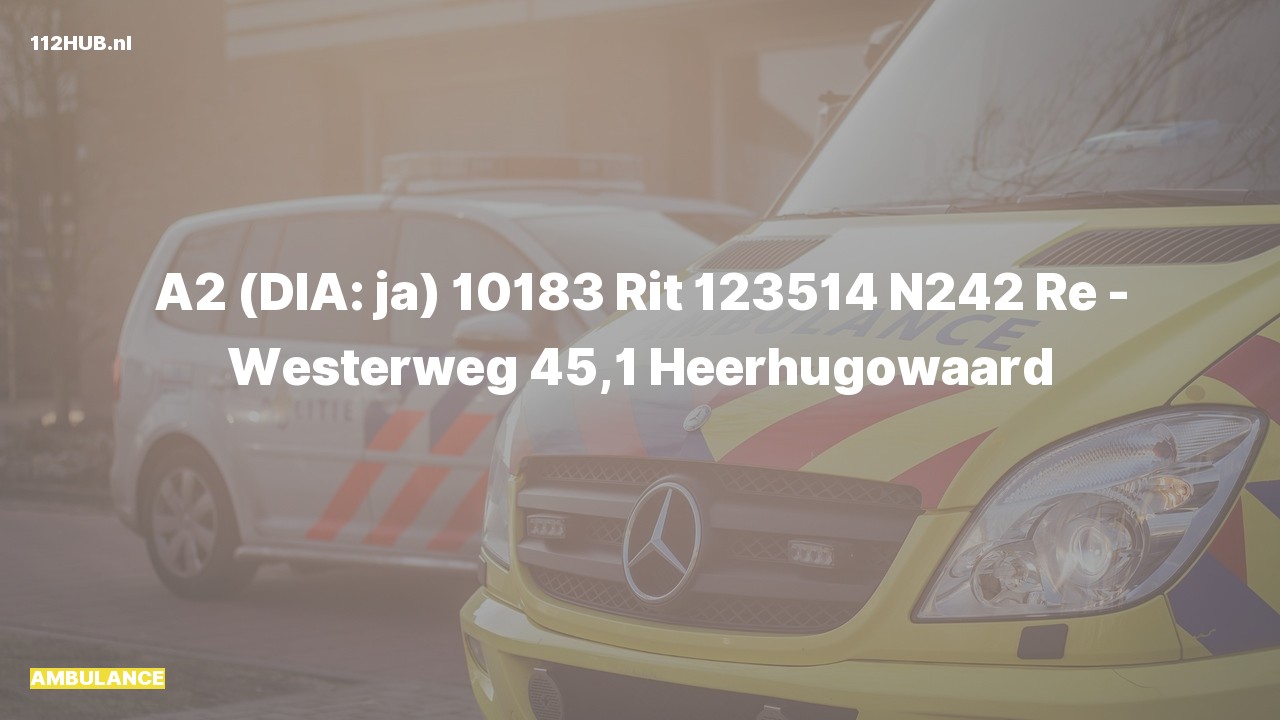 Deelafbeelding voor Ambulance met gepaste spoed op de N242 bij hectometerpaaltje 45.1.