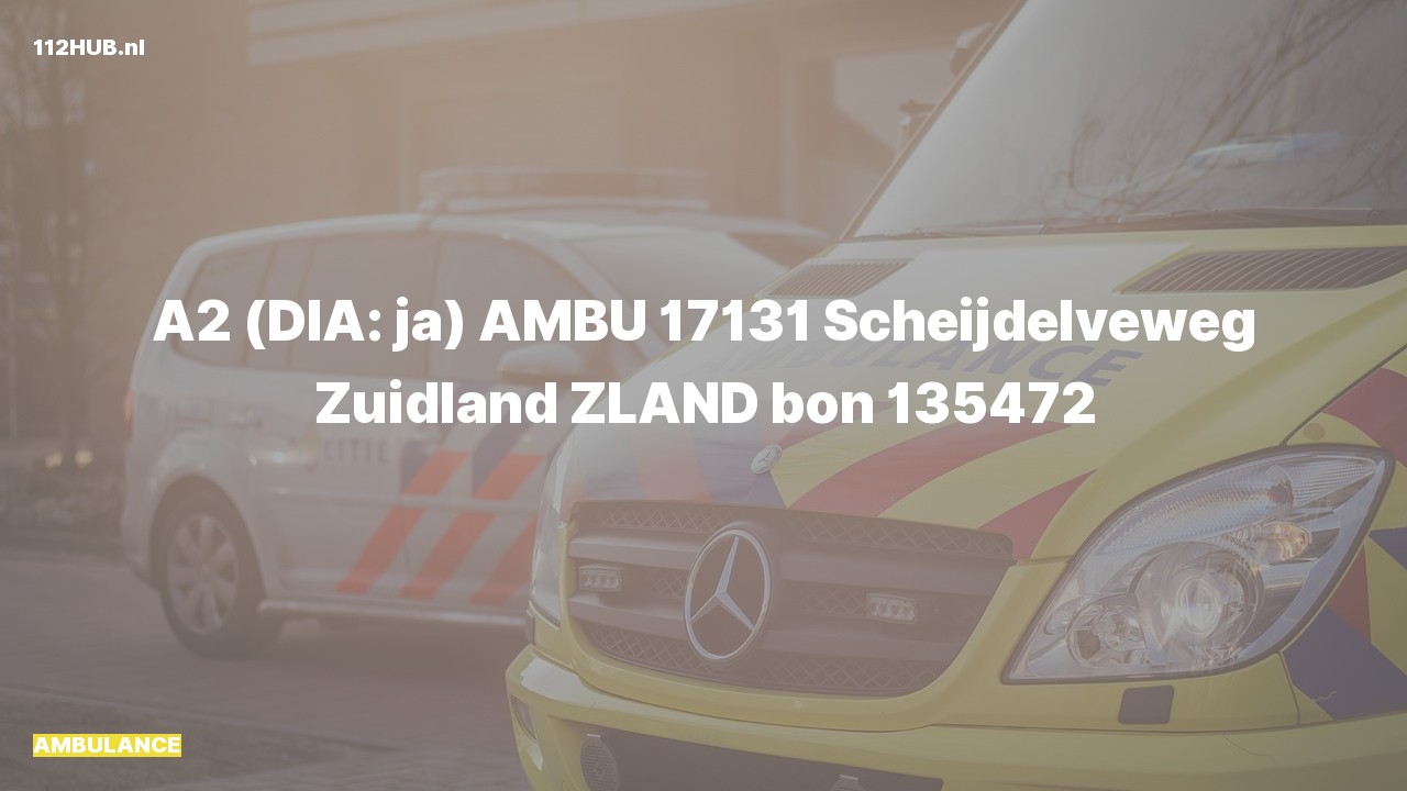 Deelafbeelding voor De ambulance is met gepaste spoed uitgerukt naar de Scheijdelveweg in Zuidland