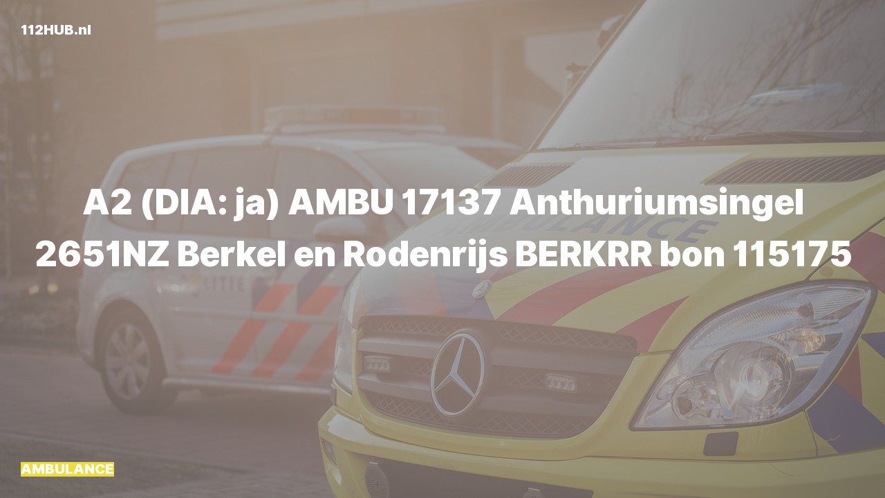 Deelafbeelding voor Ambulance met gepaste spoed naar de Anthuriumsingel in Berkel en Rodenrijs.