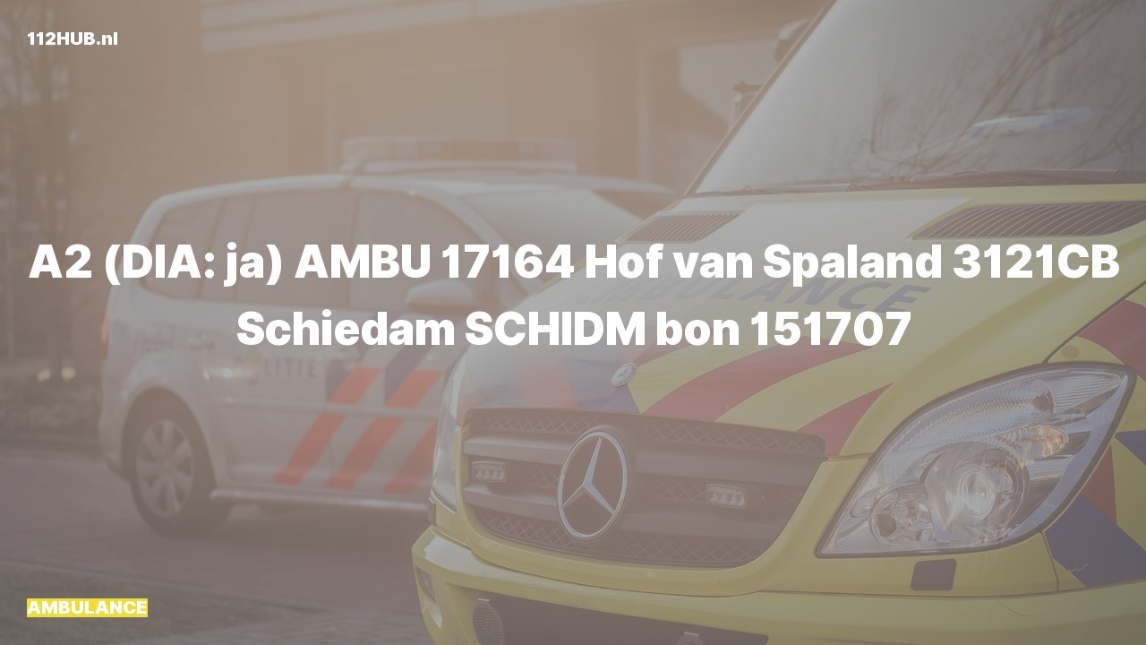 Deelafbeelding voor De ambulance is met gepaste spoed uitgerukt naar de Hof van Spaland in Schiedam