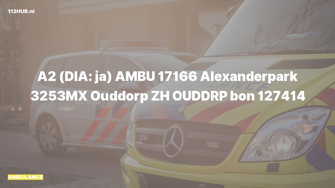 Deelafbeelding voor Ambulance met gepaste spoed naar de Alexanderpark in Ouddorp.