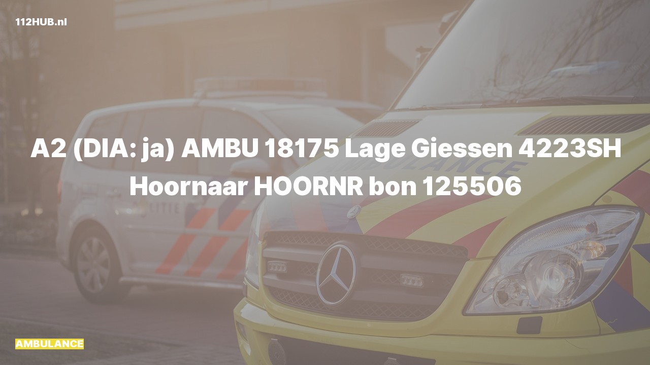 Deelafbeelding voor Ambulance met gepaste spoed naar de Lage Giessen in Hoornaar.