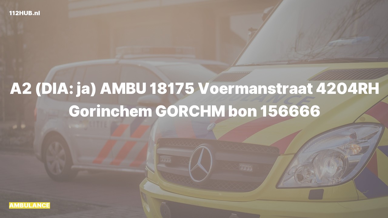 Deelafbeelding voor De ambulance is met gepaste spoed uitgerukt naar de Voermanstraat in Gorinchem