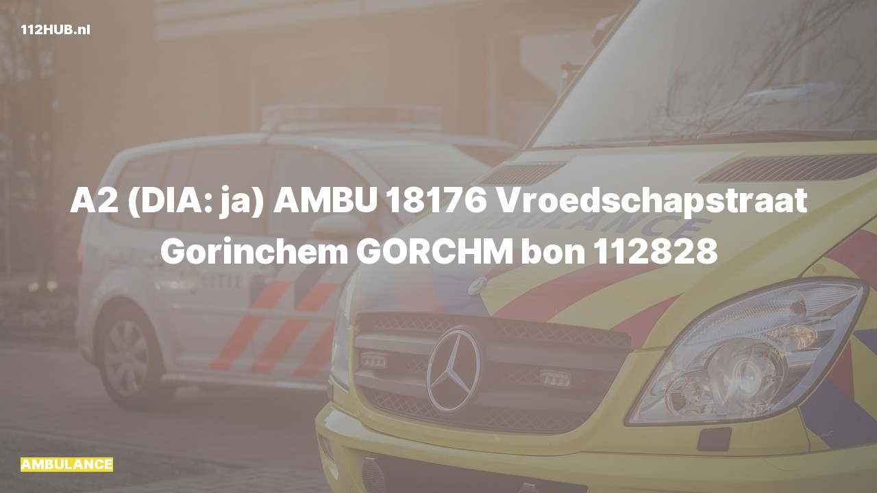 Deelafbeelding voor Ambulance met gepaste spoed naar de Vroedschapstraat in Gorinchem.