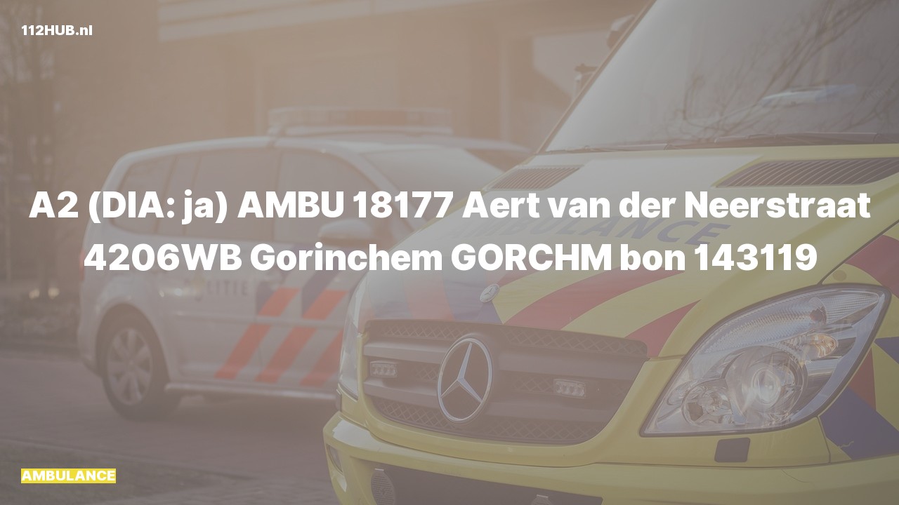 Deelafbeelding voor De ambulance is met gepaste spoed uitgerukt naar de Aert van der Neerstraat in Gorinchem
