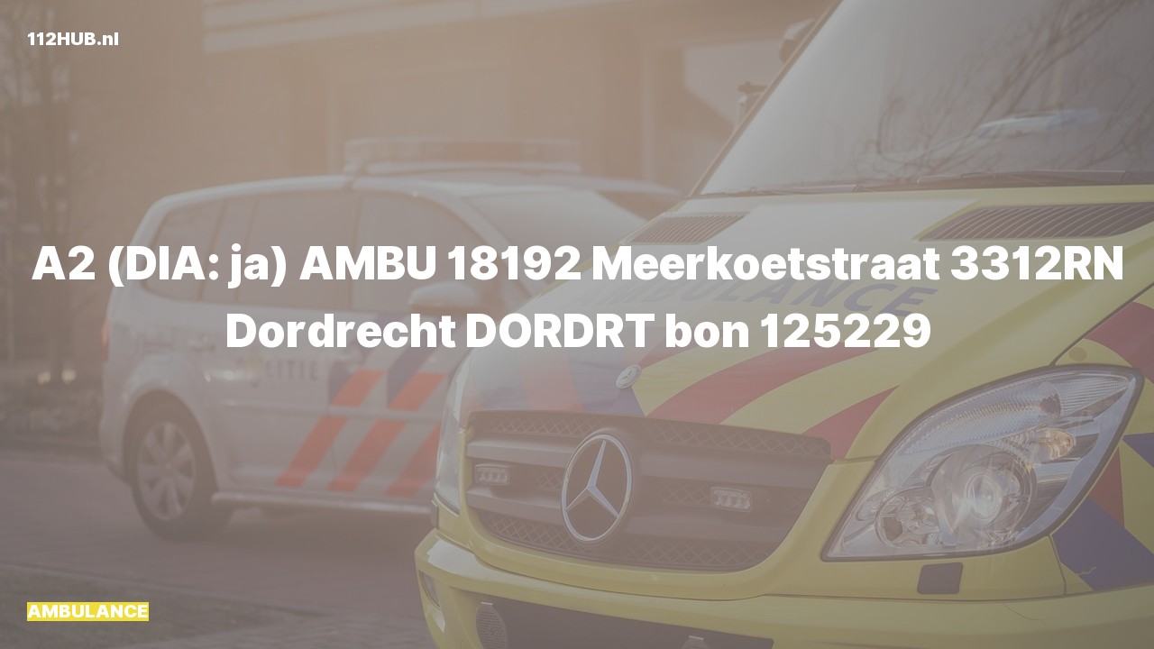 Deelafbeelding voor Ambulance met gepaste spoed naar de Meerkoetstraat in Dordrecht.