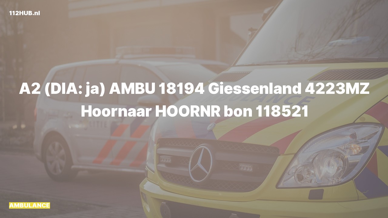 Deelafbeelding voor Ambulance met gepaste spoed naar de Giessenland in Hoornaar.