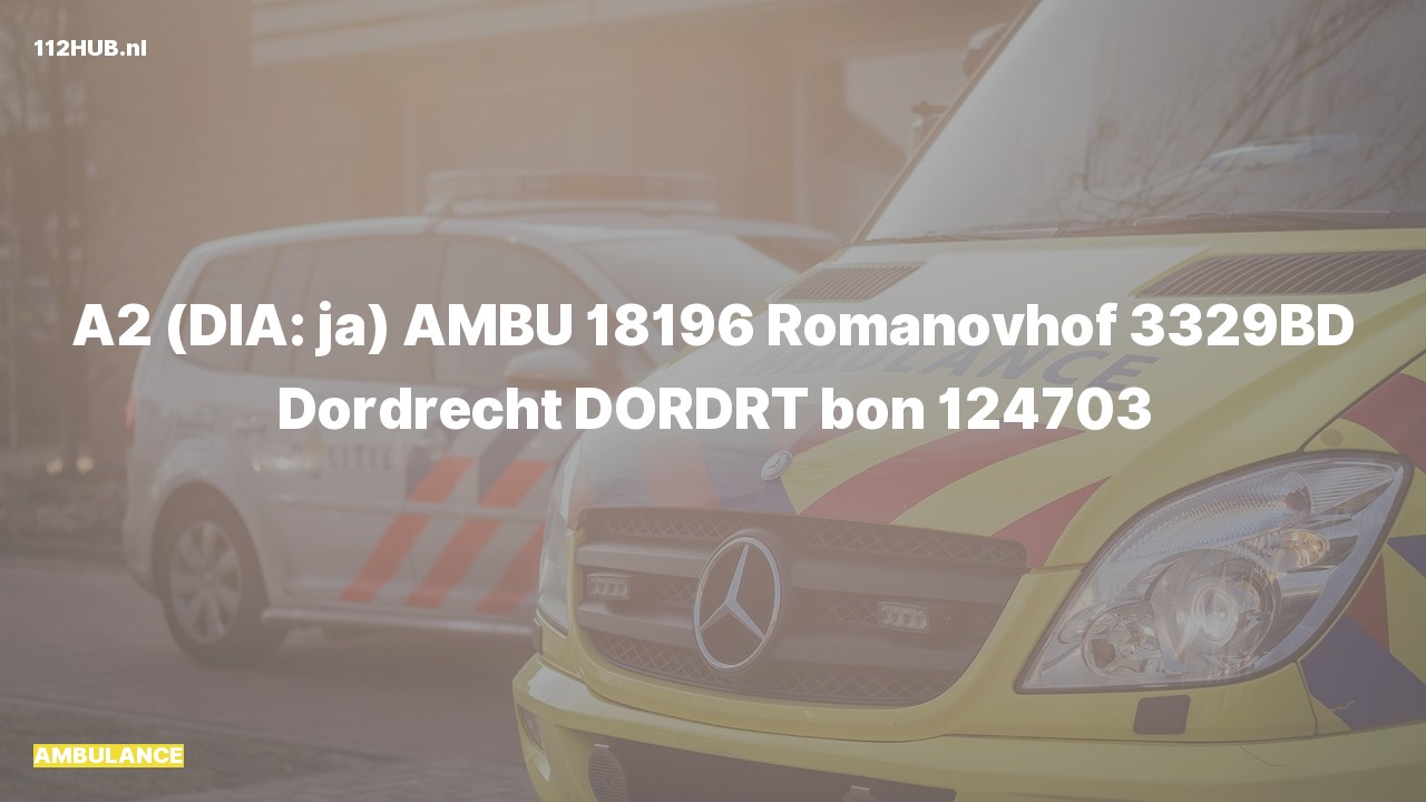 Deelafbeelding voor Ambulance met gepaste spoed naar de Romanovhof in Dordrecht.