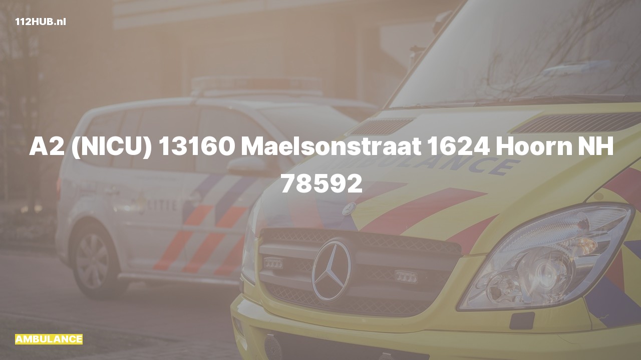 Deelafbeelding voor Ambulance met gepaste spoed naar de Maelsonstraat in Hoorn.