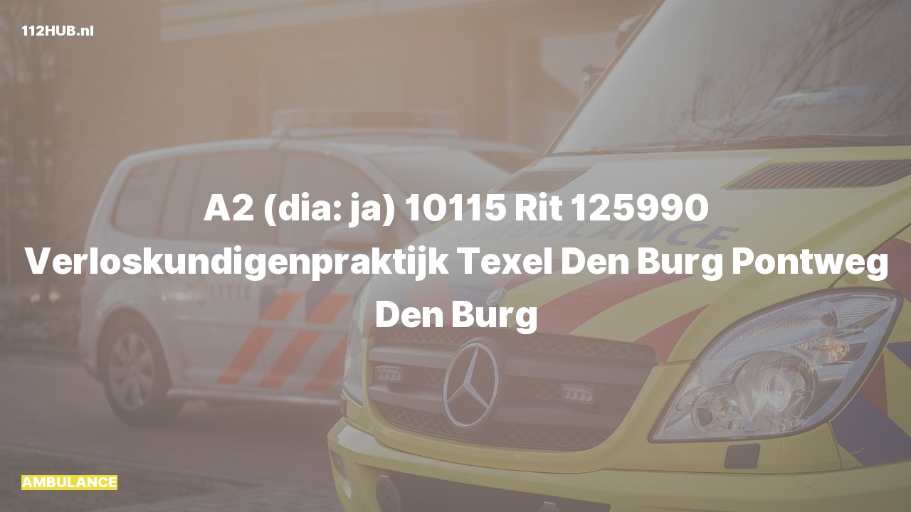 Deelafbeelding voor Ambulance met gepaste spoed naar de Pontweg in Den Burg.