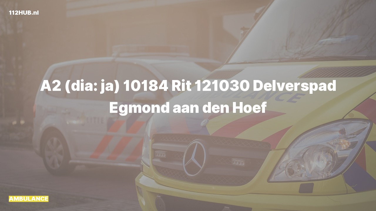 Deelafbeelding voor Ambulance met gepaste spoed naar de Delverspad in Egmond aan den Hoef.
