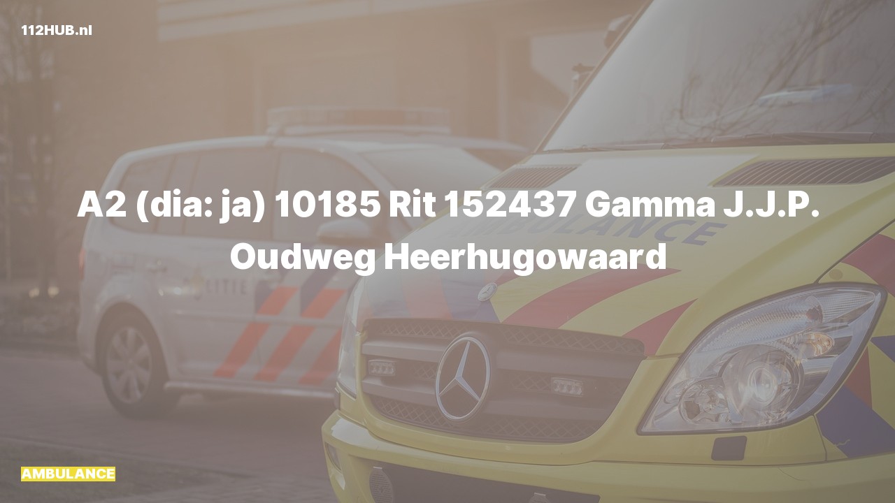Deelafbeelding voor De ambulance is met gepaste spoed uitgerukt