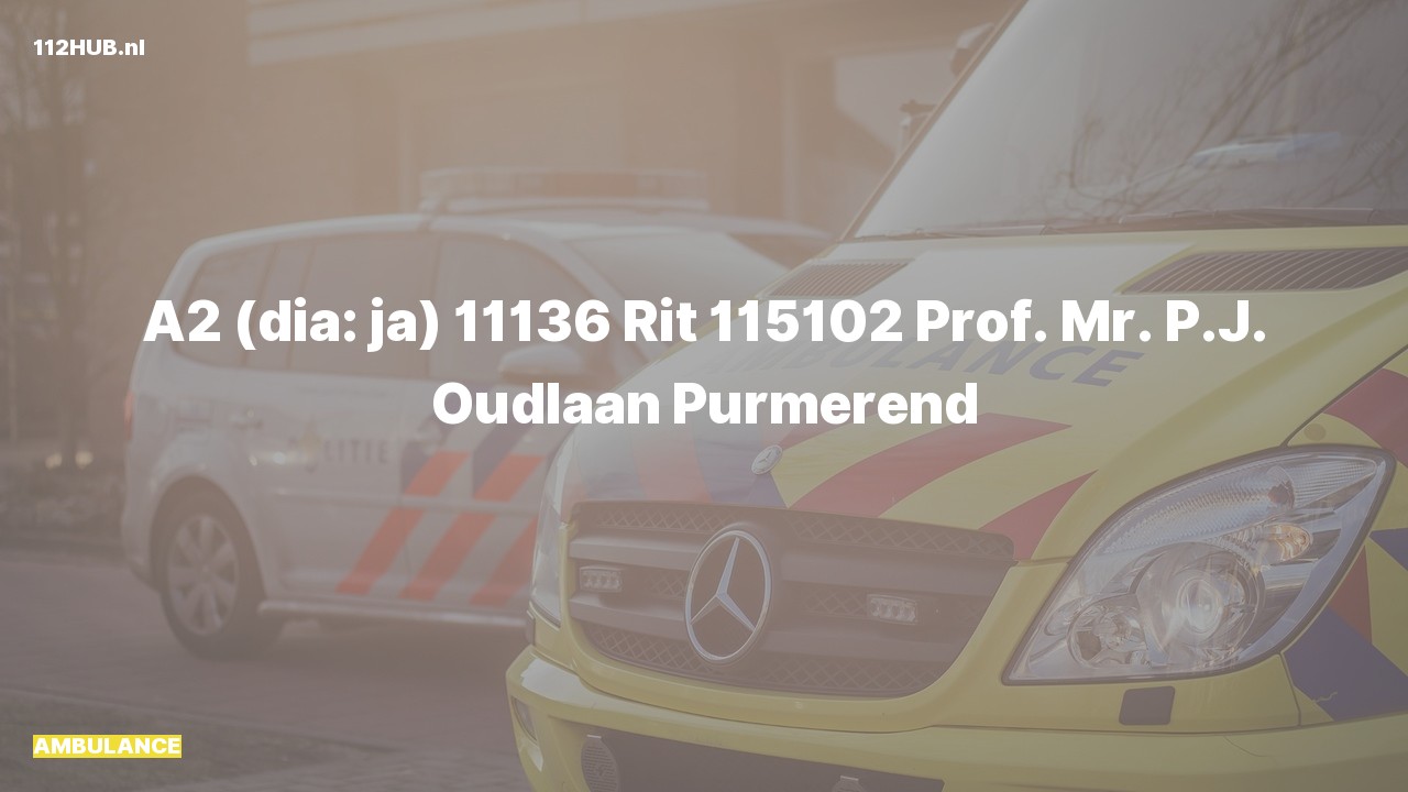 Deelafbeelding voor Ambulance met gepaste spoed naar de Prof. Mr. P.J. Oudlaan in Purmerend.